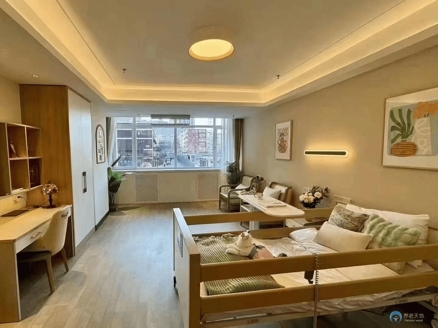 和平府：体验医养融合的魅力2026 走进