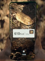 盖高楼华为EMUI挖地基安卓定制内幕:普通玩家(图6) 盖高楼华为EMUI挖地基安卓定制内幕:普通玩家(图6)